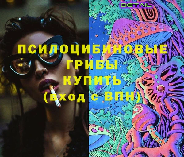 МДПВ Богданович