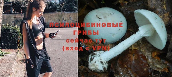 МДПВ Богданович