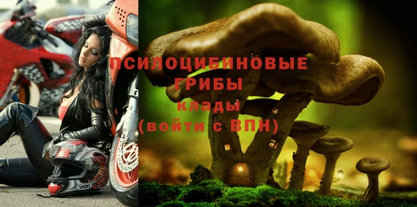 МДПВ Богданович