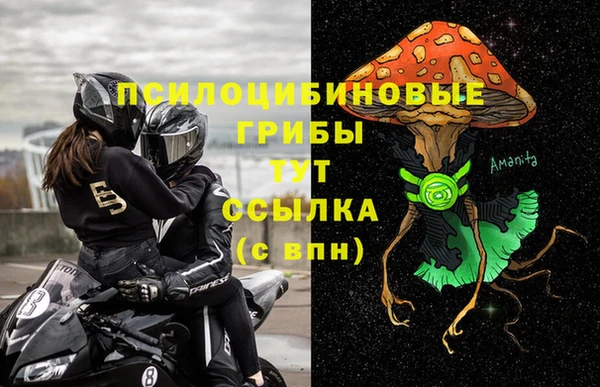 МДПВ Богданович