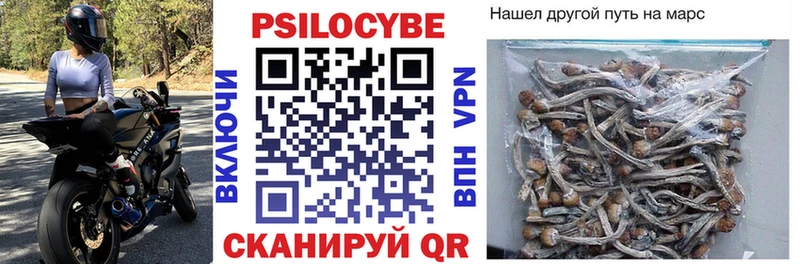 Галлюциногенные грибы мицелий  Купить  Пласт 